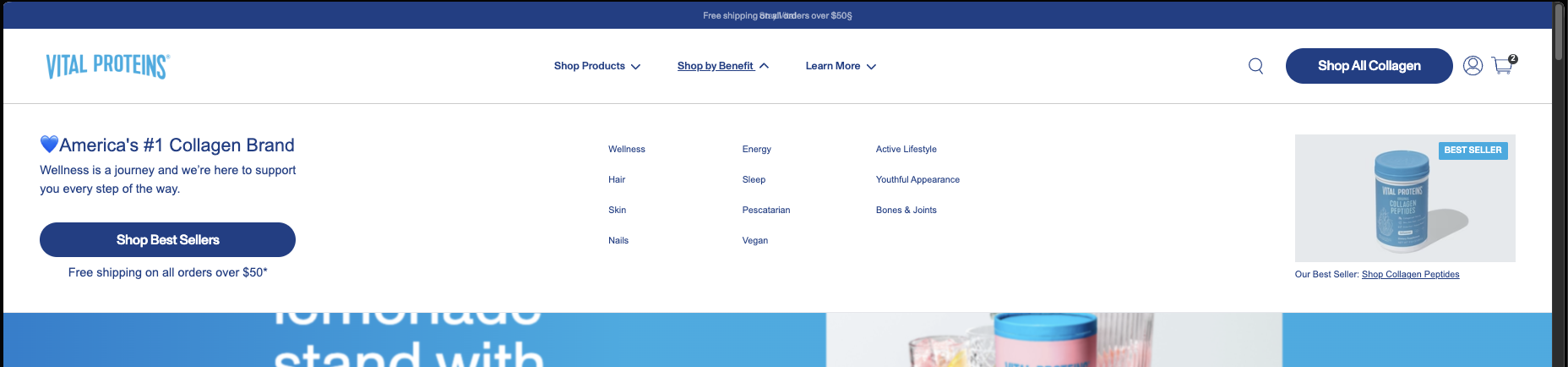 Mega Menu 2